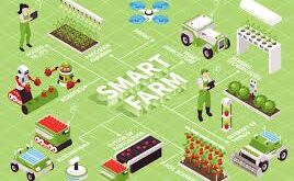 smart-farming