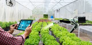 smart-farming